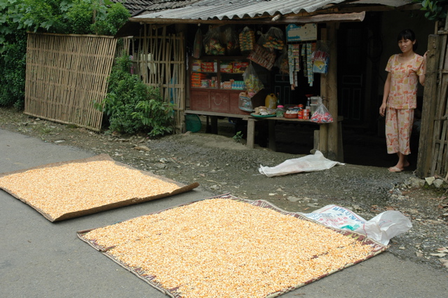 Lai Chau